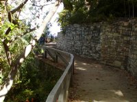 Falls view trail