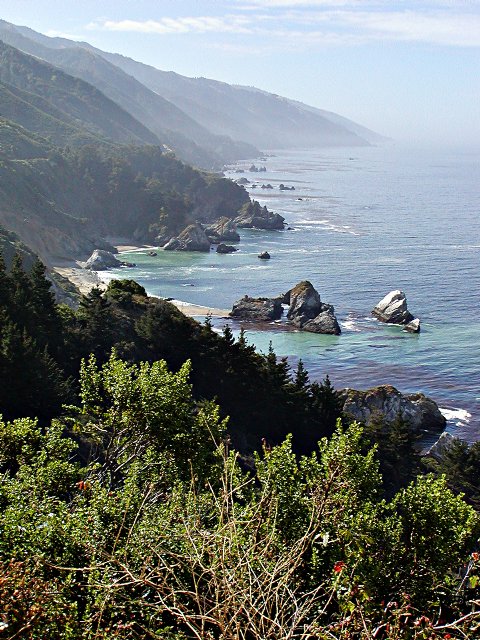 South view