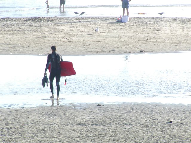 Surfer