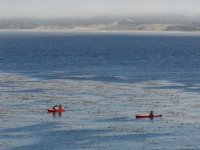 Kayakers