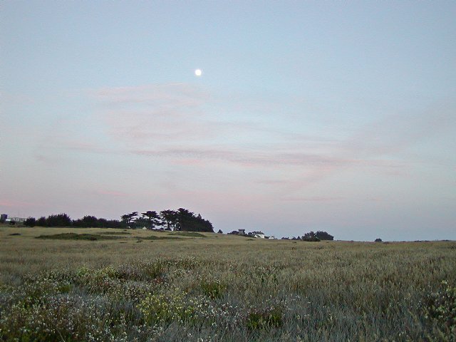 Mendocino Moon