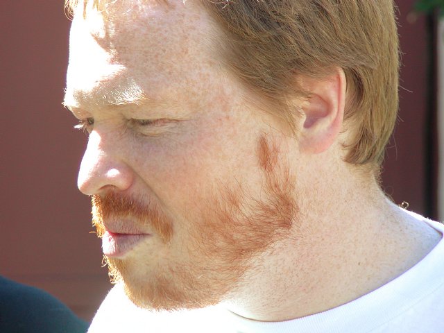 David Collins