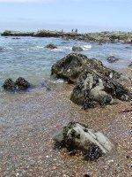 Moonstone Beach