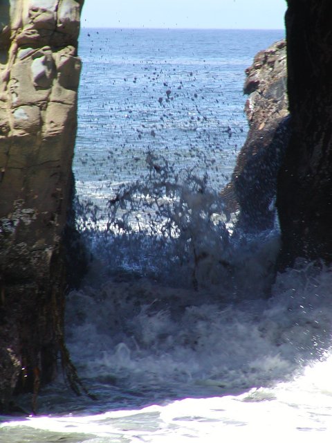 Between the rocks
