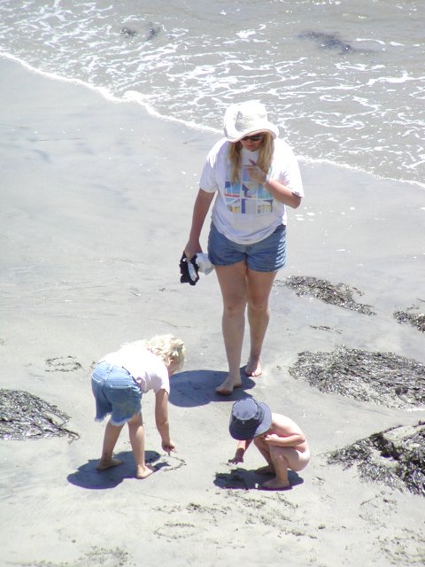 Family from above