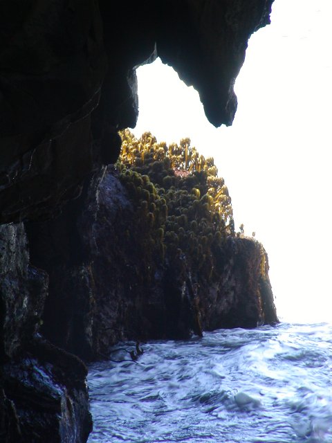 In the cave