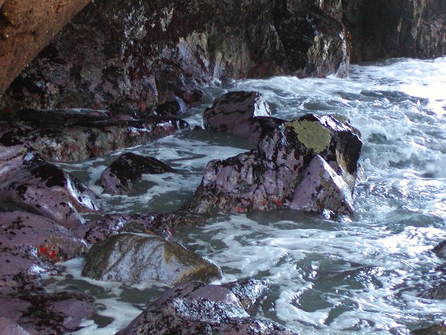 Purple rocks