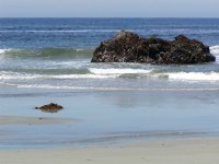 A rock in the surf