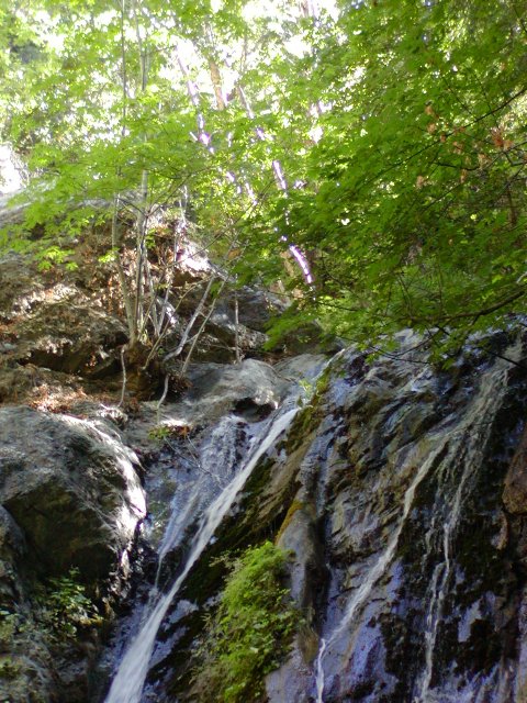Pfeiffer Falls top