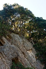 Bob Jones Trail