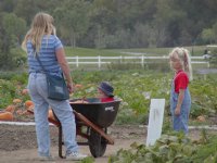 Wheelbarrow ride