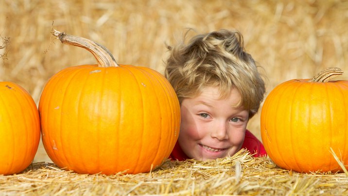 Pumpkin Head, I