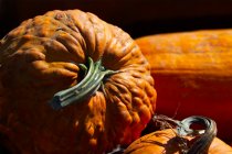 Pumpkins