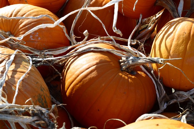 Pumpkins, I