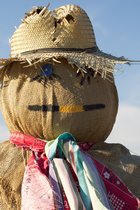 Scarecrow, I