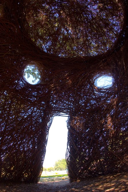 Lookout Tree, I