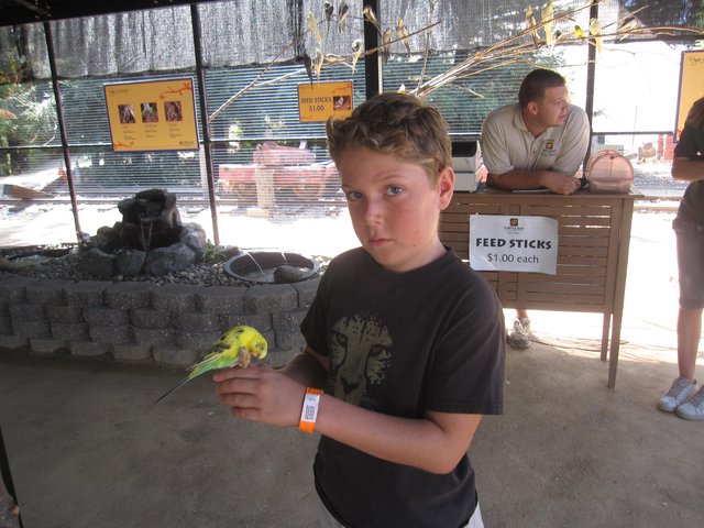 Timothy Aviary, I
