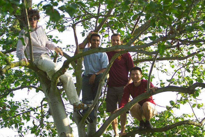 Arborial, III