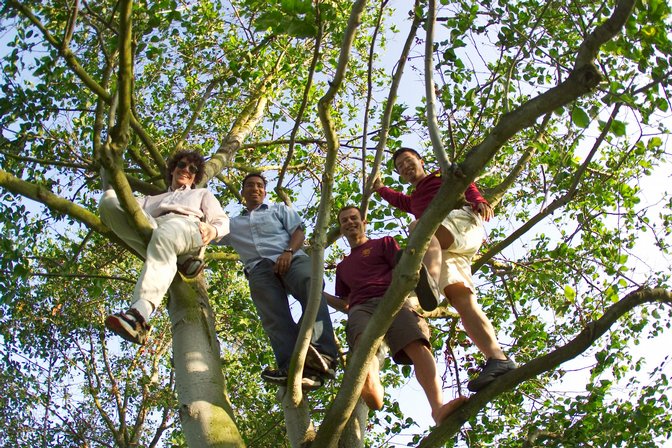 Arborial, V