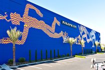 Tillys mural