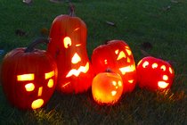 Timothy as a dragon, and the Halloween Jack-o-lanterns