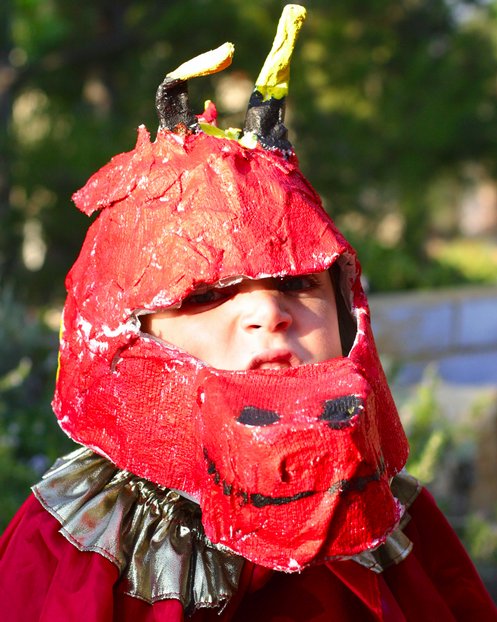 Timothy as a dragon
