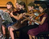 Last Row Violas