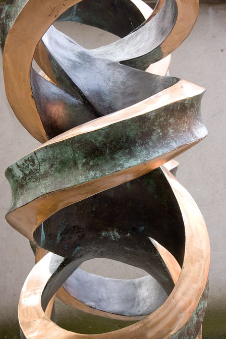(2,8)-Torus Link, I