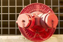 Auto Spkr
