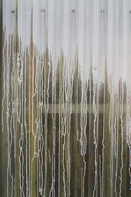 Greenhouse Wall
