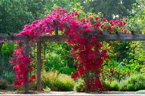 Garden Park Gate