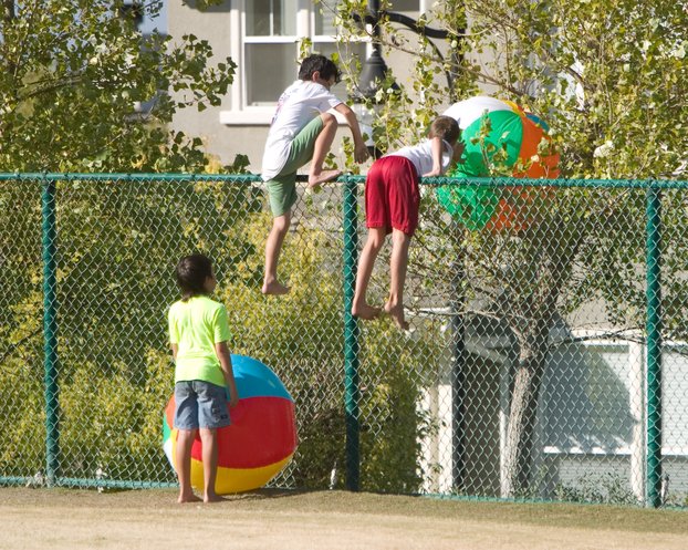 Over The Fence