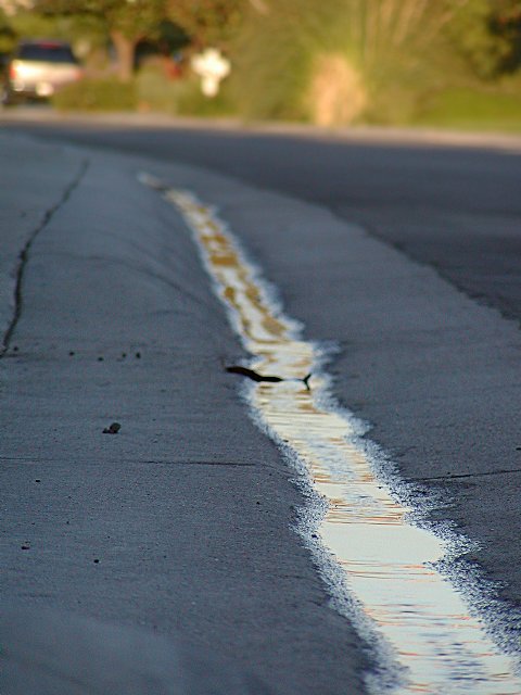 Gutter water