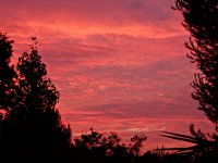 Sunset, I