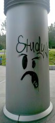 Study
