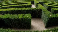 Maze, II