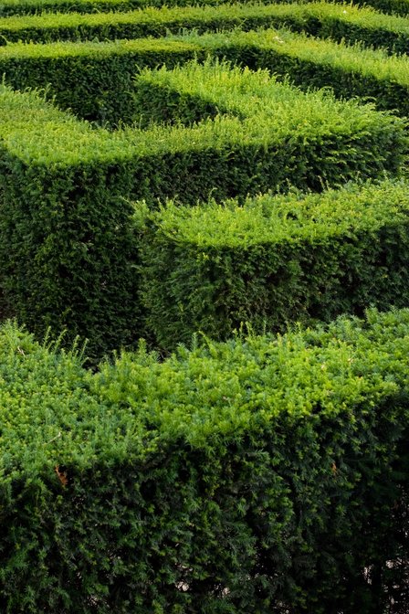 Maze, III