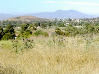 Saddleback Mountain