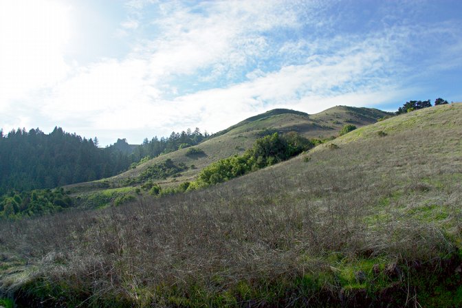 Windy Hill, II